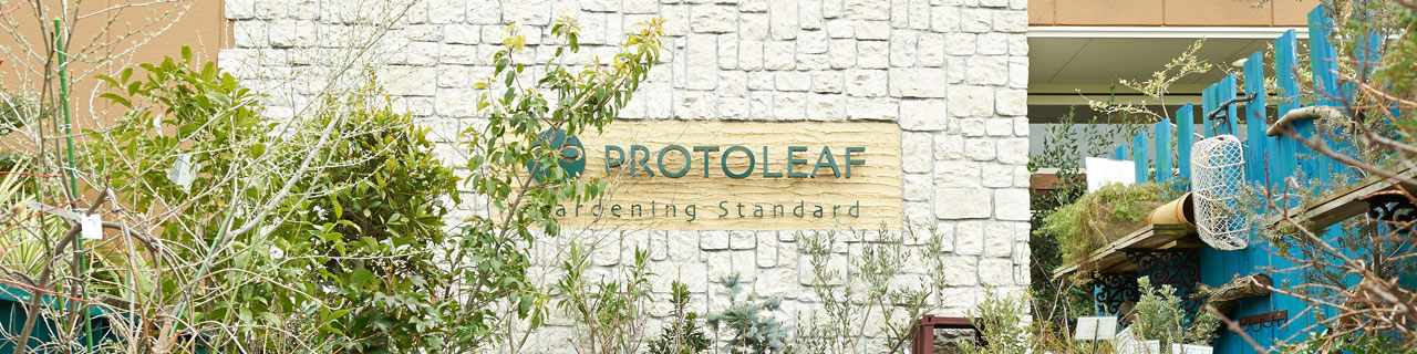 店舗情報 Protoleaf 玉川店