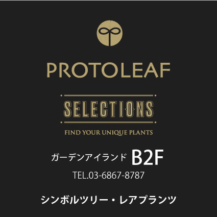 Protoleaf 玉川店